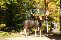 Wer wartet da auf uns? :o)