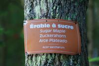 Ein Wunder der Natur