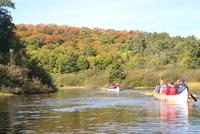 Auf dem wunderschönen Algonquin River