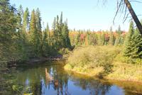 Mitten im Indian Summer