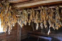 Sainte-Marie among the Hurons