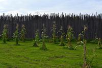 Traditionelle Landwirtschaft in Sainte-Marie among the Hurons