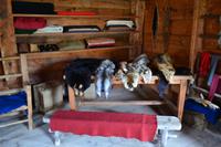 Sainte-Marie among the Hurons