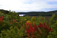Ausblick vom Algonquin Park Visitor Centre