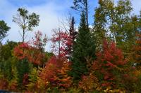 Laubfärbung am Lac Taureau