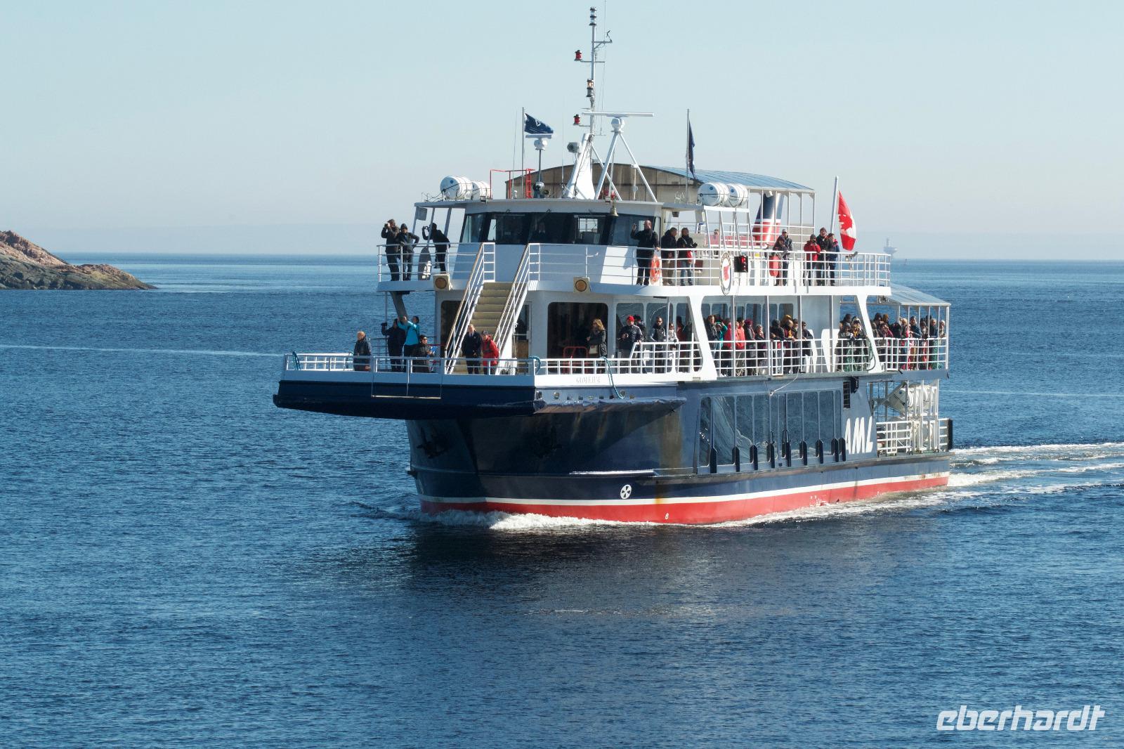 Unser Whale Watching-Boot