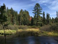 135 Algonquin Park