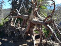 136 Pyramid Lake