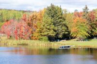 138 Indian Summer