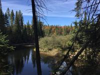 139 Algonquin Park