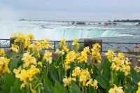 14  Niagara Fälle
