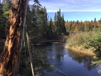 140 Algonquin Park