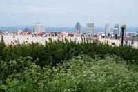 Auf dem Mont Real in Montreal