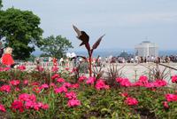 Auf dem Mont Real in Montreal