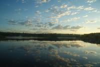 Welch eine Abendstimmung-Ausblick aus dem Zug