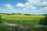 wunderschöne Landschaften ziehen an uns vorbei-im Canadian