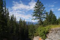 Unterwegs in den Rockies