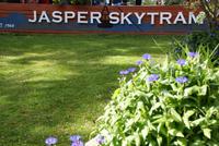 Auf nach oben zum Mount Whistler