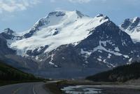 Auf zum Athabasca Gletscher