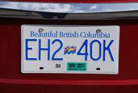 Nummernschild mit Slogan