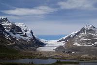 Der Athabasca Gletscher