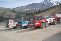 Die Ice Explorer am Gletscher