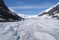 Der Athabasca Gletscher