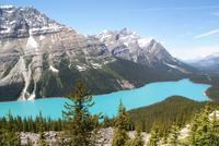 Der Peyto Lake-der schönste See in Kanada!!!! 