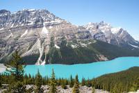 Der Peyto Lake-der schönste See in Kanada!!!! 