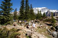 Auf zur Aussicht zum Moraine Lake