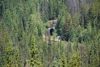 Leider kein Zug in Sicht!