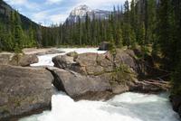 Natural Bridge im Yoho National Park