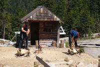 Lumberjack Show auf Grouse Mountain
