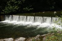 An der Lachszuchtstation