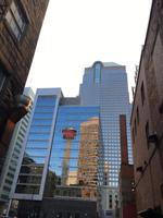 Der Aussichtsturm im Glasshaus