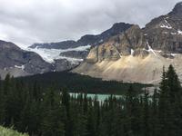 Crawfoot Glacier 