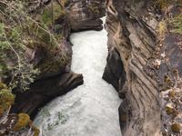 Athabasca Schlucht