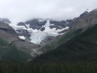 Corbett Gletscher bei Maligne Lake