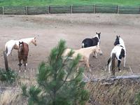 Komm wir tanzen fuer die Zuggaeste ! 