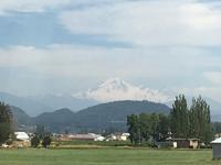 Mount Baker lugt hervor