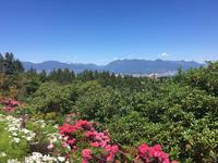 Vancouver von Queen Elizabeth Park aus