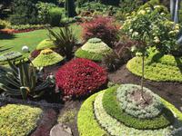 ein kuenstlerischer Gaertner