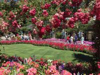 Die beruehmten Butchart Gardens