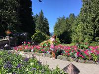 mein Blumenkleid im Blumenmeer