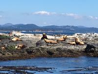 der Maennerchor auf Race Rock