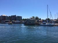 Hausboote im Hafen von Victoria