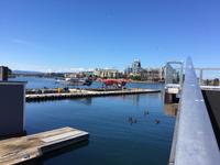 letztes Abenteuer auf dieser Reise