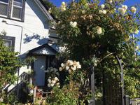 Hauseingang einer Villa in Victoria 4