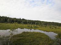 Bahnfahrt nach Fairbanks