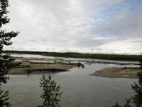 Bahnfahrt nach Fairbanks